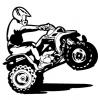 Inmatriculare Atv - last post by denys